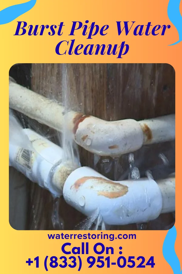 Burst Pipe Water Cleanup in Ludlow Falls, OH