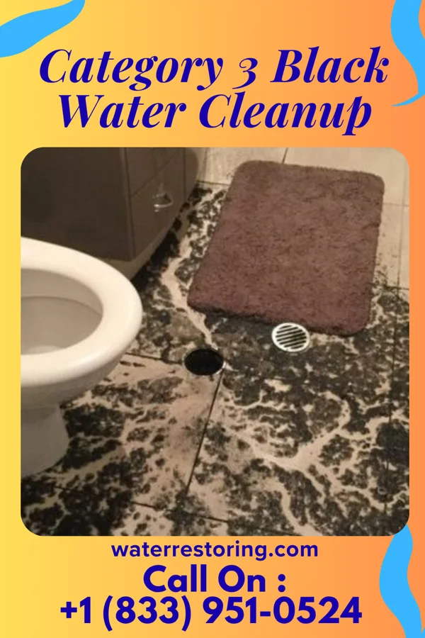 Category 3 Black Water Cleanup in Ludlow Falls, OH