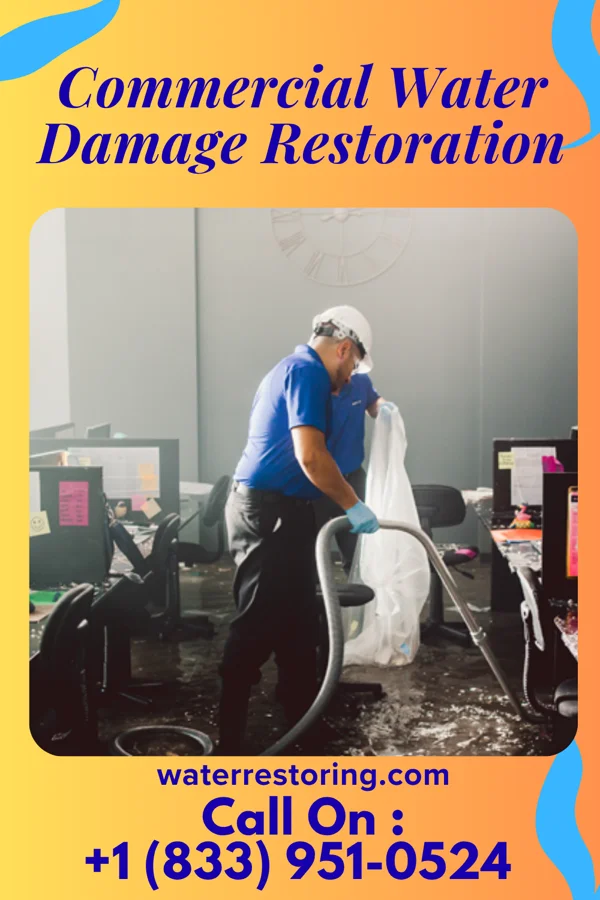 Commercial Water Damage Restoration in Ludlow Falls, OH