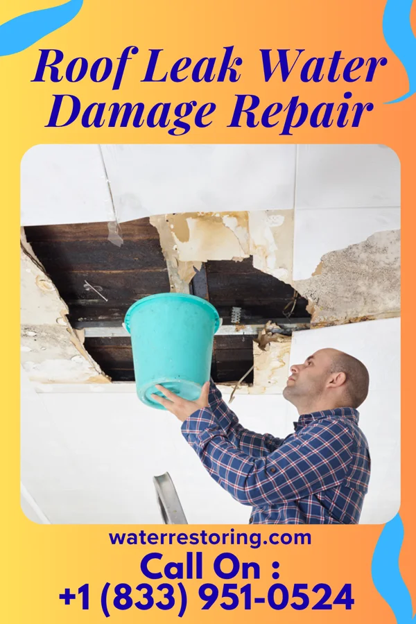 Roof Leak Water Damage Repair in Ludlow Falls, OH