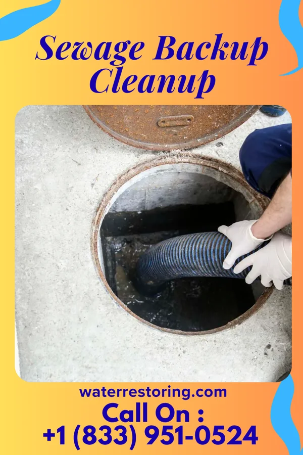 Sewage Backup Cleanup in Ludlow Falls, OH