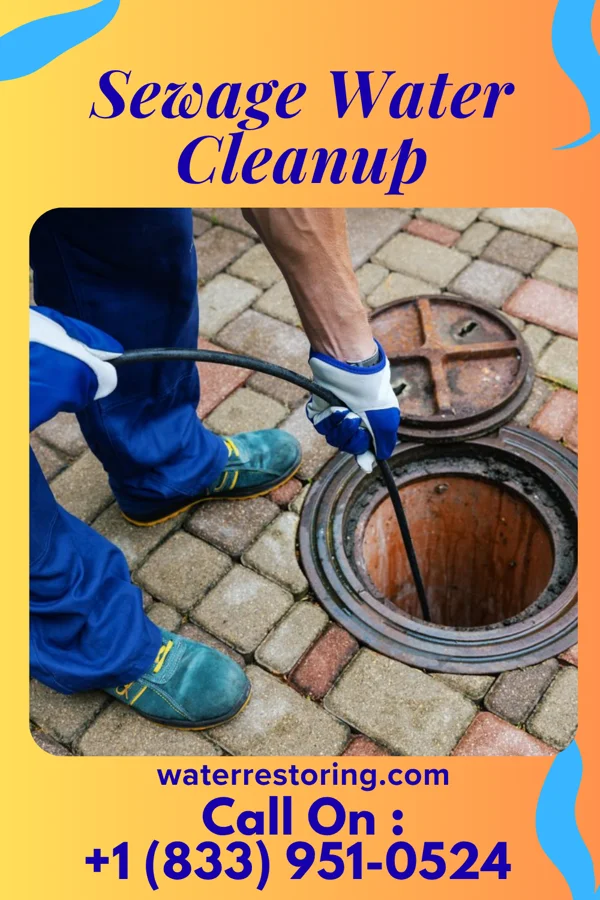 Sewage Water Cleanup in Ludlow Falls, OH